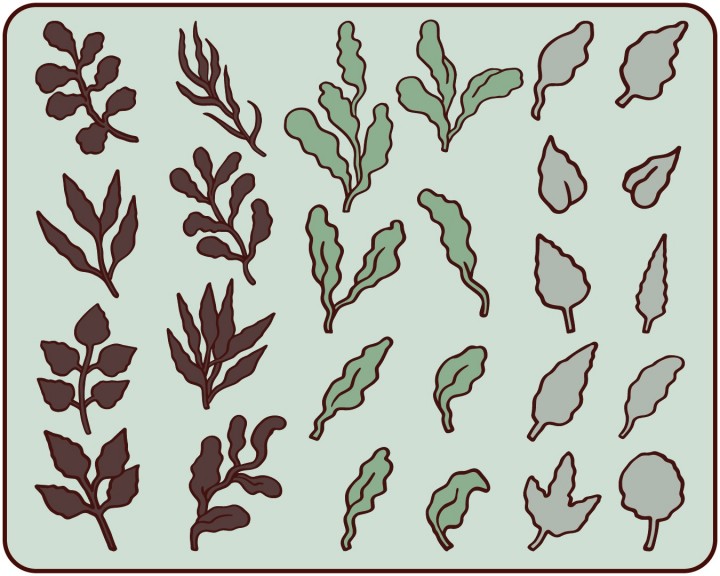 26种不同的手绘2D植物叶子图标素材